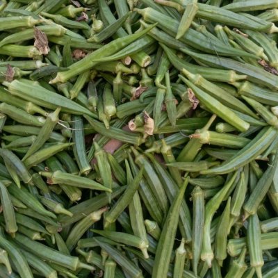 Okra