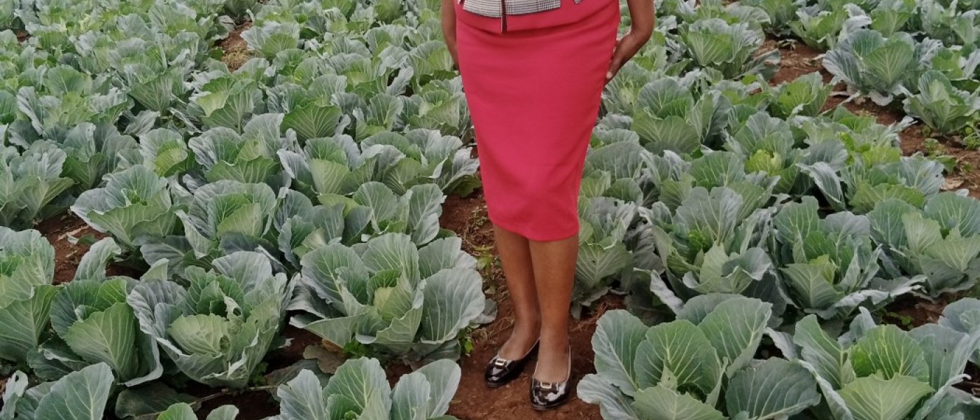 Cabbage/French beans