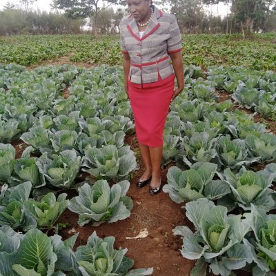 Cabbage/French beans