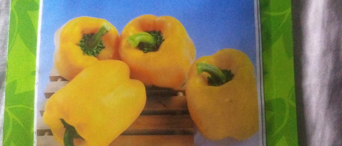 Yellow capsicum