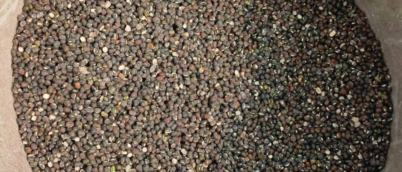 Urad dal