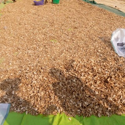 DRY GINGER A GRADE, GOOD PRICE