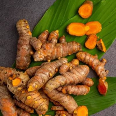 Fresh raw Turmeric
