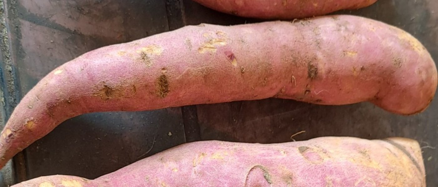 Sweet potatoes