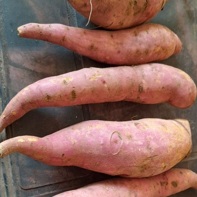 Sweet potatoes