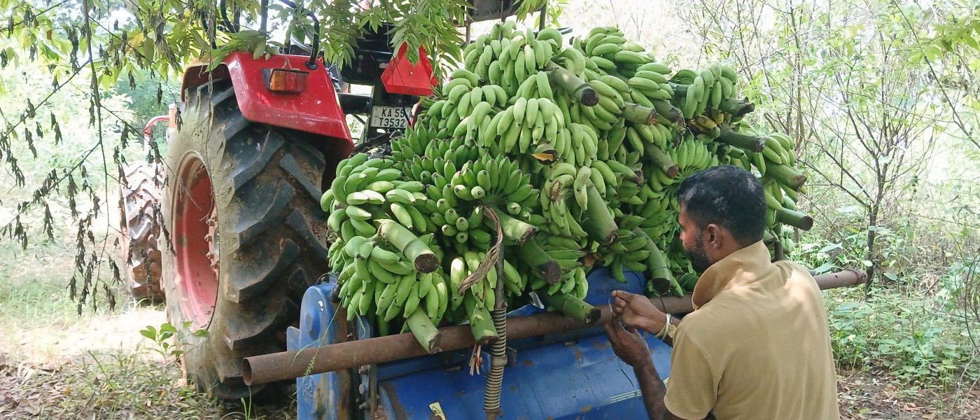 Tender coconut, elachi banana