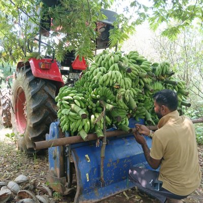 Tender coconut, elachi banana