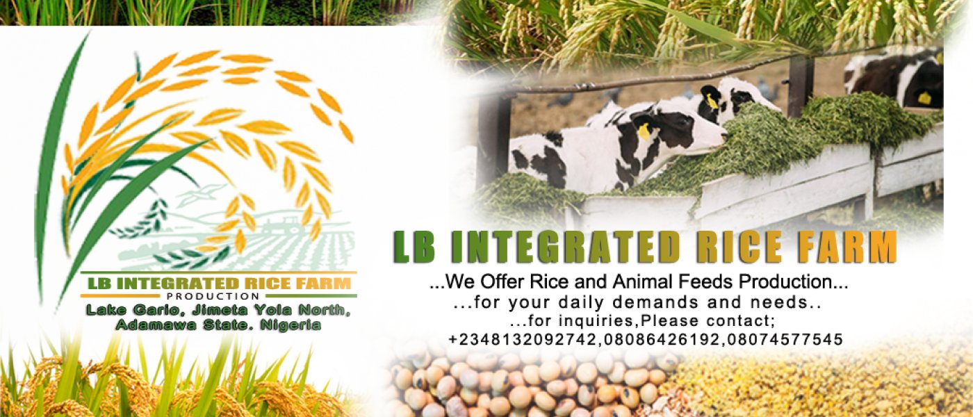 To provide high-quality agricultural products, including rice, maize, beans, and animal feeds, while promoting sustainable farmi