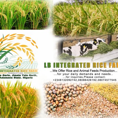 To provide high-quality agricultural products, including rice, maize, beans, and animal feeds, while promoting sustainable farmi