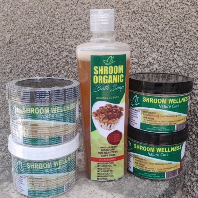 Fresh/ dry oyster/ ganoderma mushroom