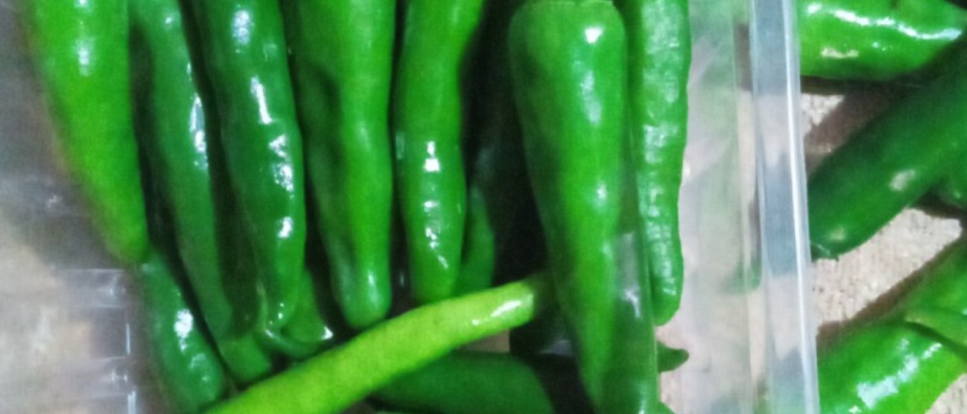 Fresh green red yellow and orange chillies