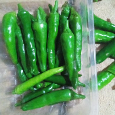 Fresh green red yellow and orange chillies