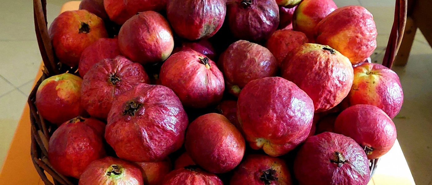 Red apple guava n orange