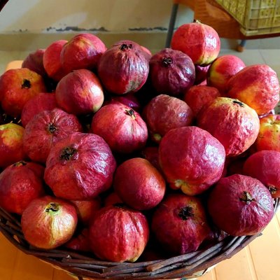 Red apple guava n orange