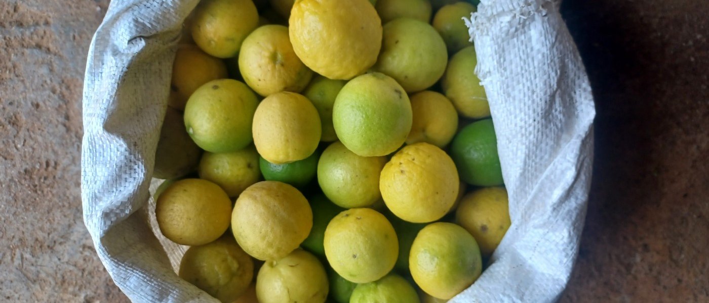 Fresh lemon per kg Rs. 80