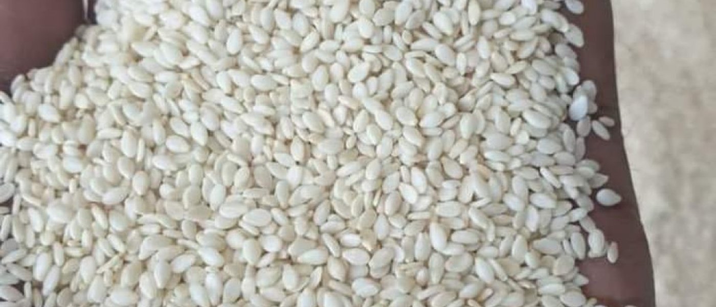 Pure White Sesame Seeds (Chad Origin)