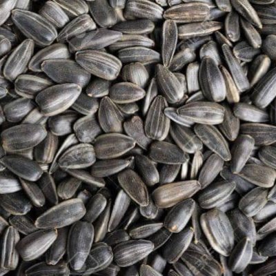 Sunflower seeds