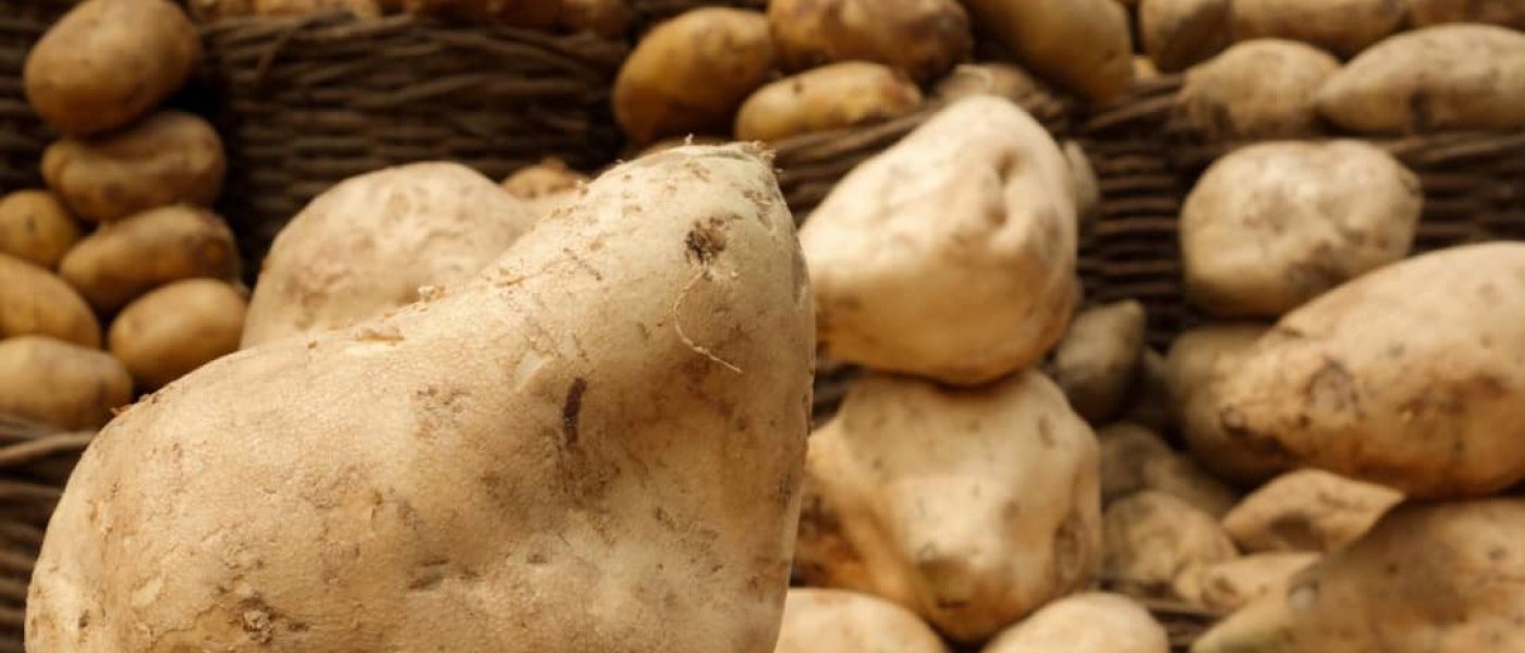 Sweet potato