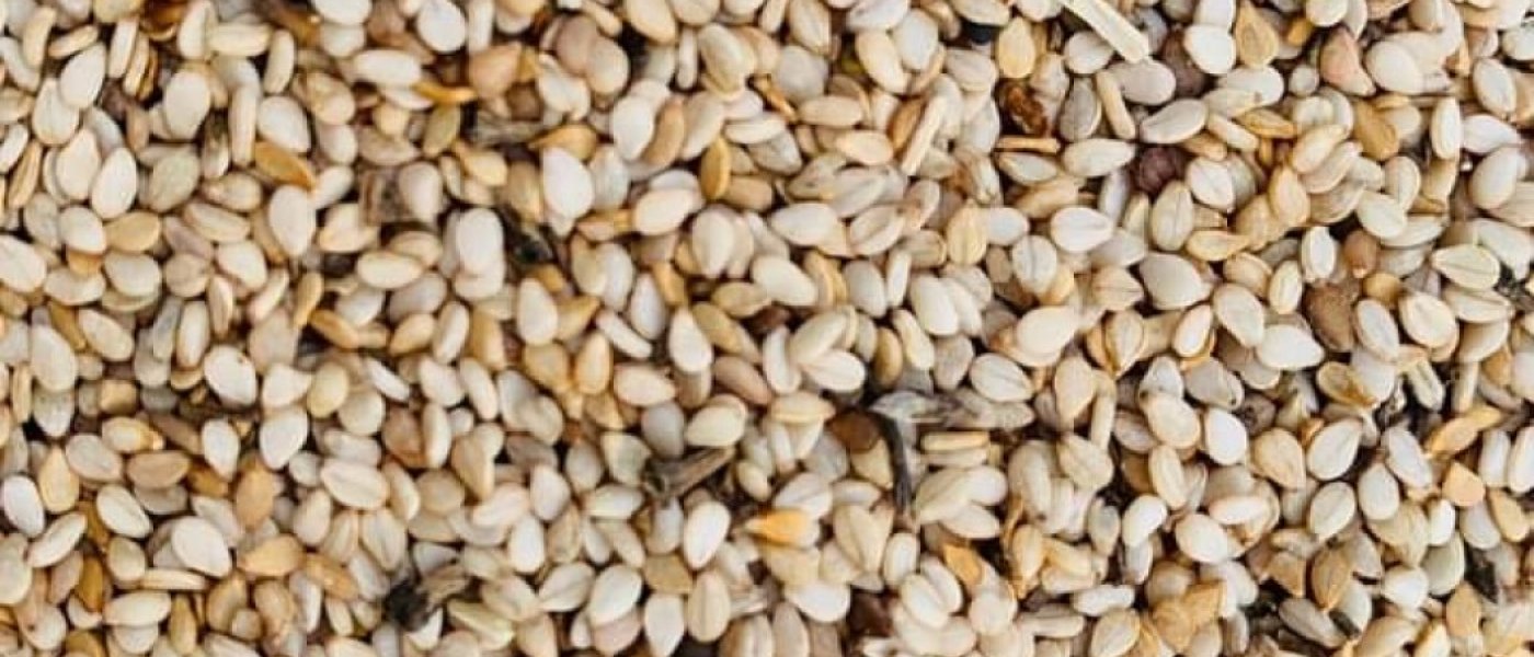 Sesame Seeds (White / Mixed Variety)