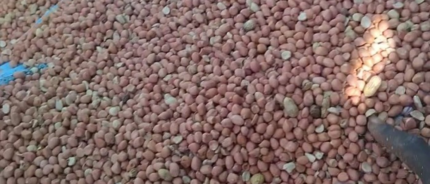 Good product Good groundnut