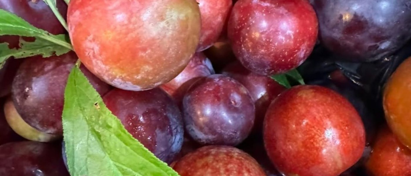 Fresh fruit