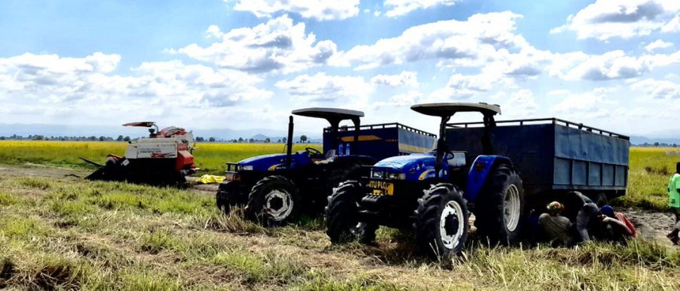 FRESH MAIZE/ NICE COFFEE