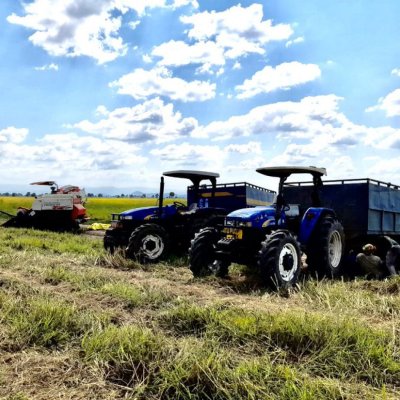 FRESH MAIZE/ NICE COFFEE