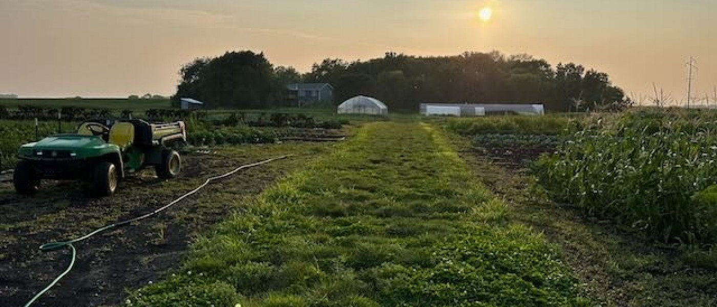Banana, basil plant, tomatoes, carrots, cucumber,pear etc