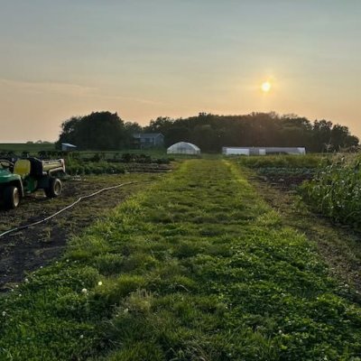 Banana, basil plant, tomatoes, carrots, cucumber,pear etc
