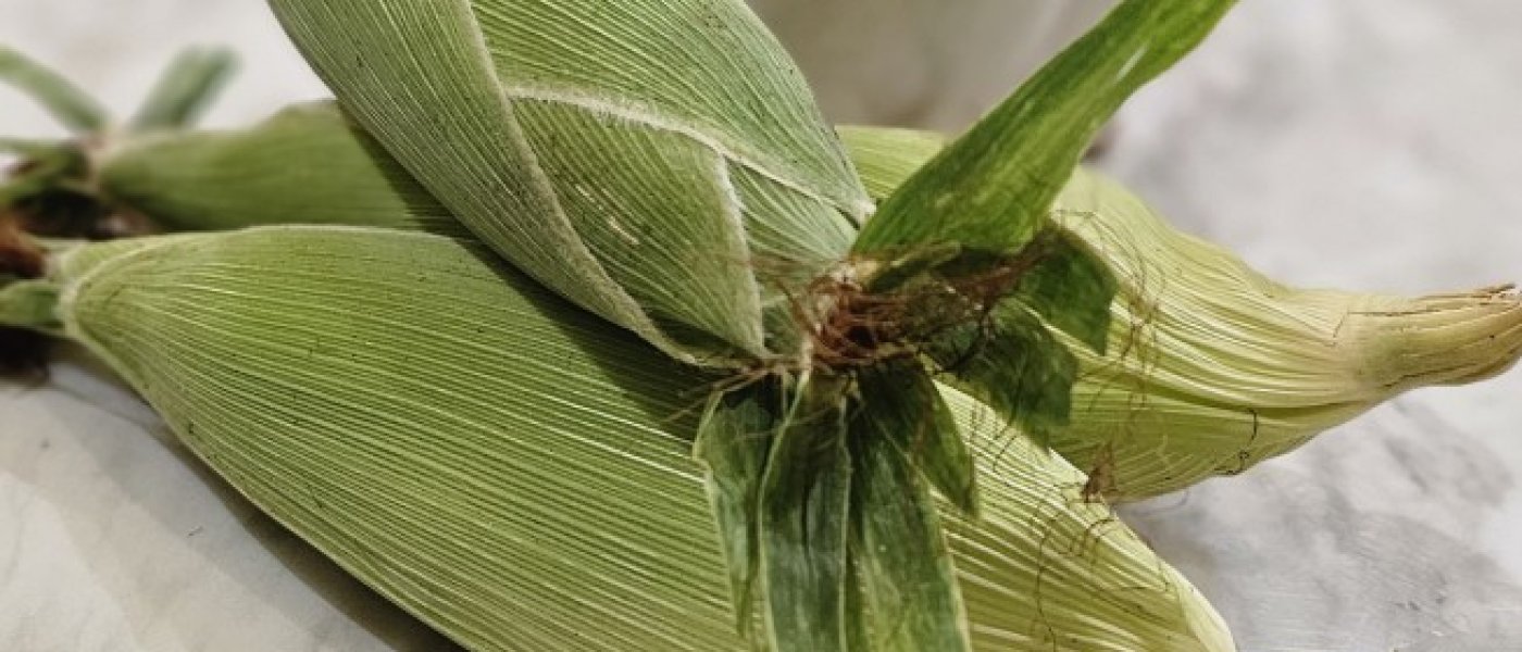 Sweet Corn