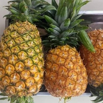 Fresh Pineapple $118 per Ton