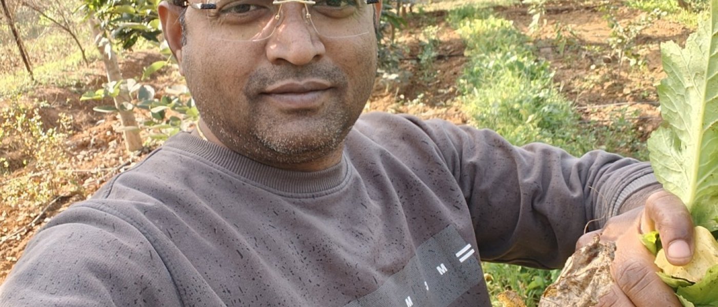 Organic Turmeric, Arhar dal, Rice, Mango fruit