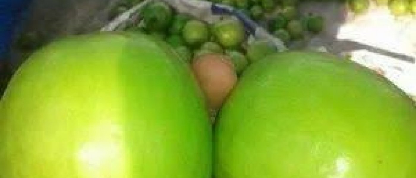 Fresh Thia apple ber