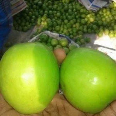 Fresh Thia apple ber