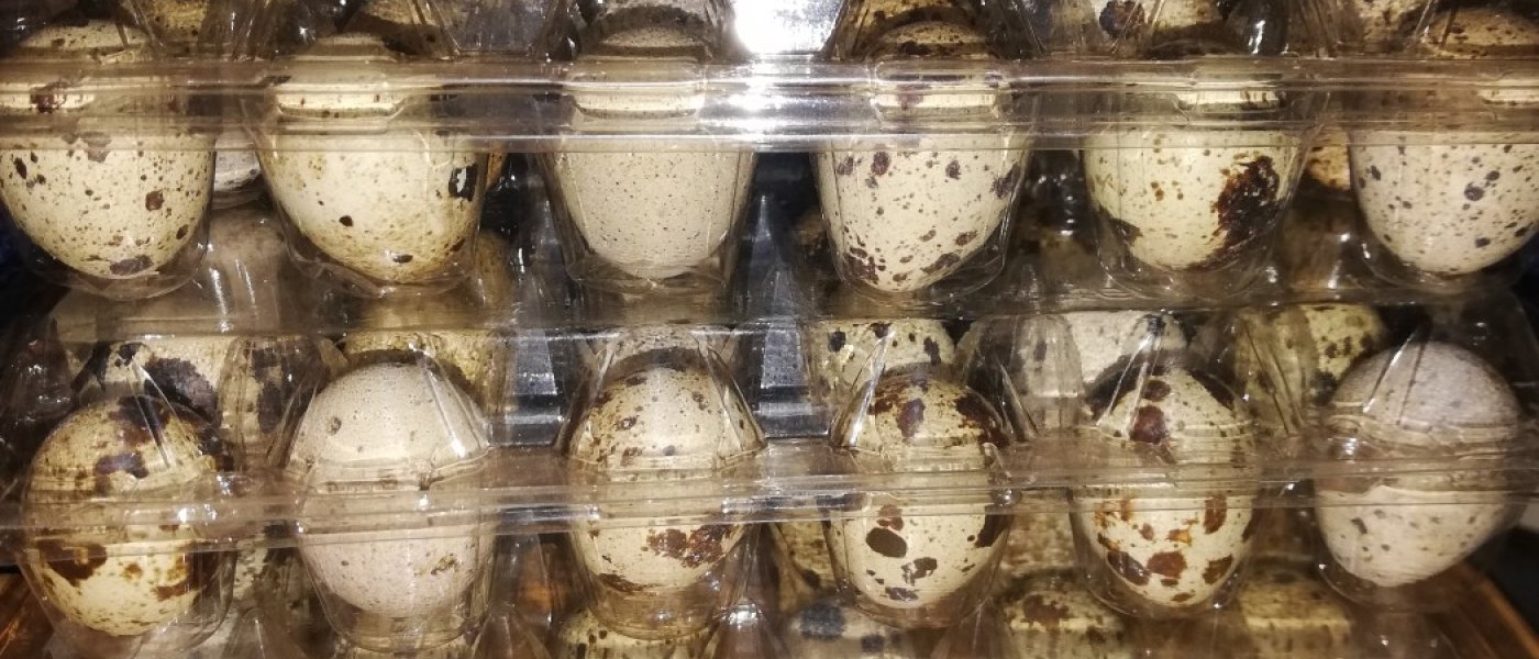 Quails,quail eggs, local chicken, guinea fowls, pekin ducks