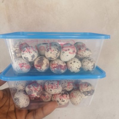 Quail eggs