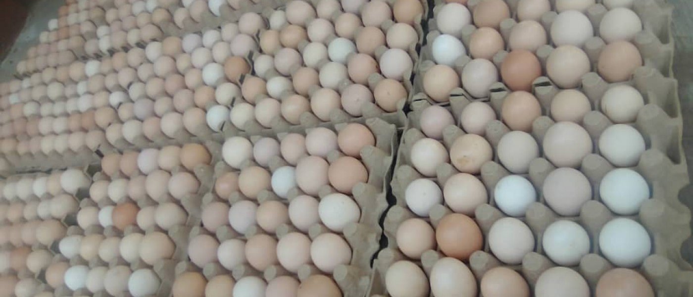 Yellow York Eggs