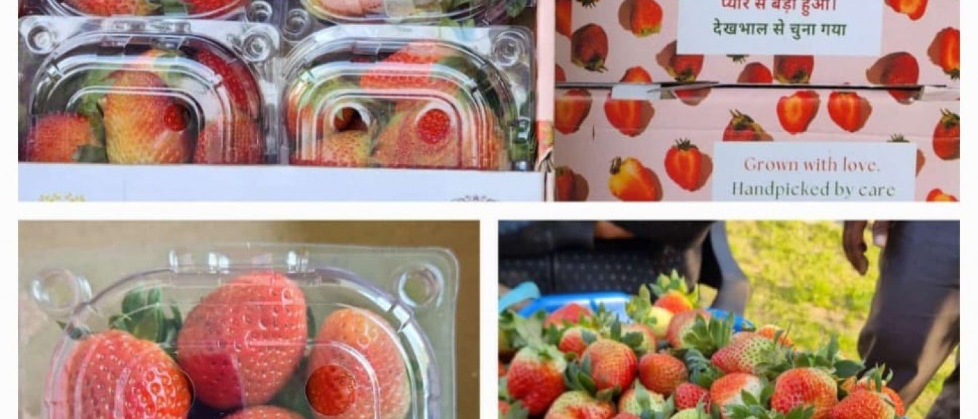 Organic, packed with love