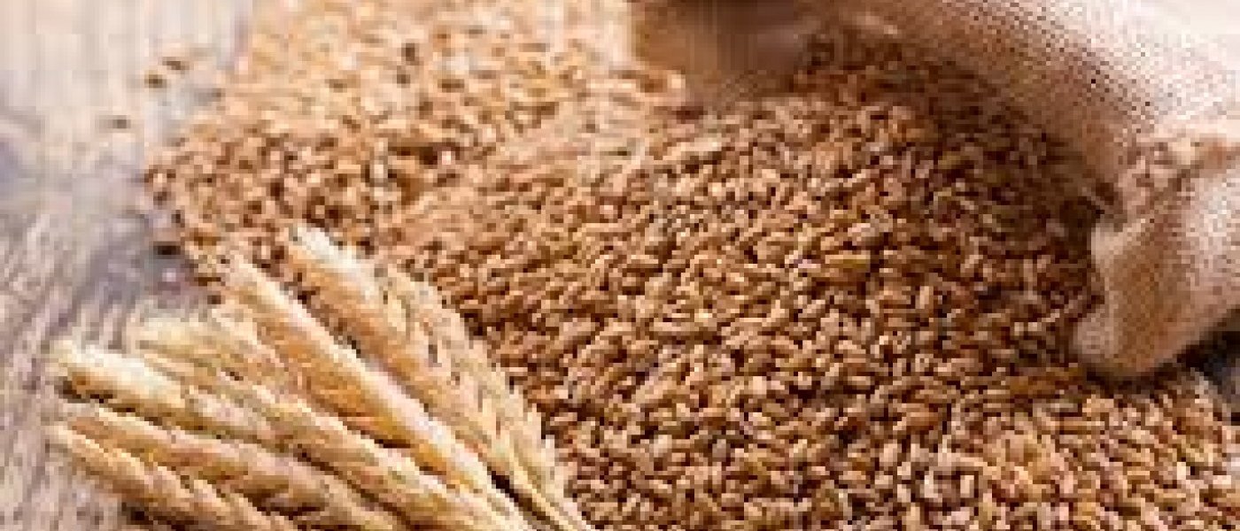 Wheat