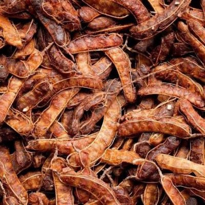 Tamarind Permanent Offer