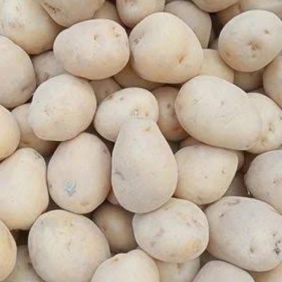 Fresh a grade chipsona potato