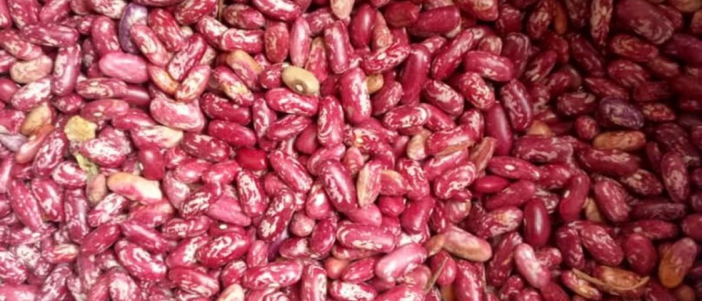 New Rosecoco Beans