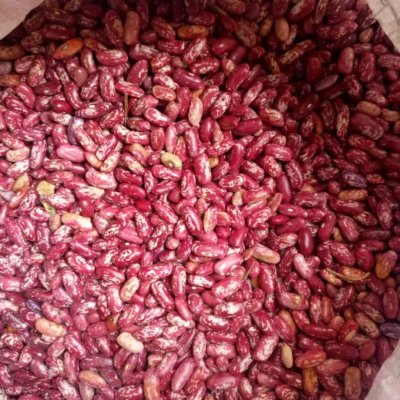 New Rosecoco Beans