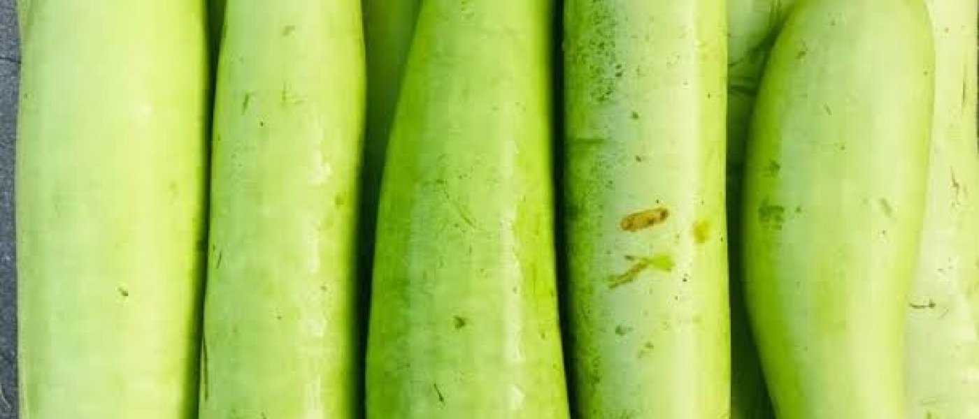 Bottle Gourd