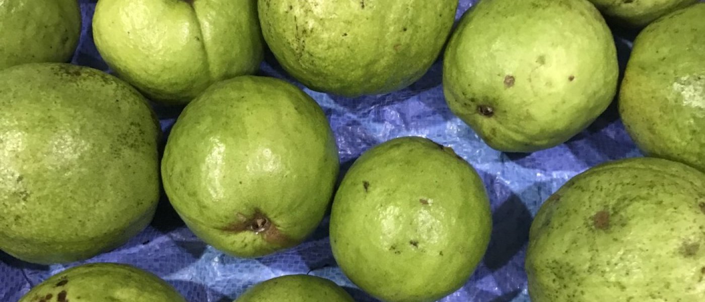 Fresh Guava