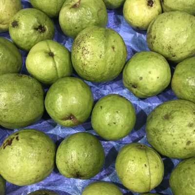 Fresh Guava