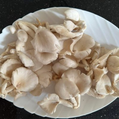 Oyster Mushrooms