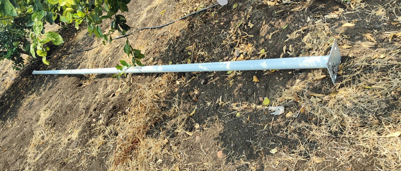 Mosambi (Sweet Lemon)