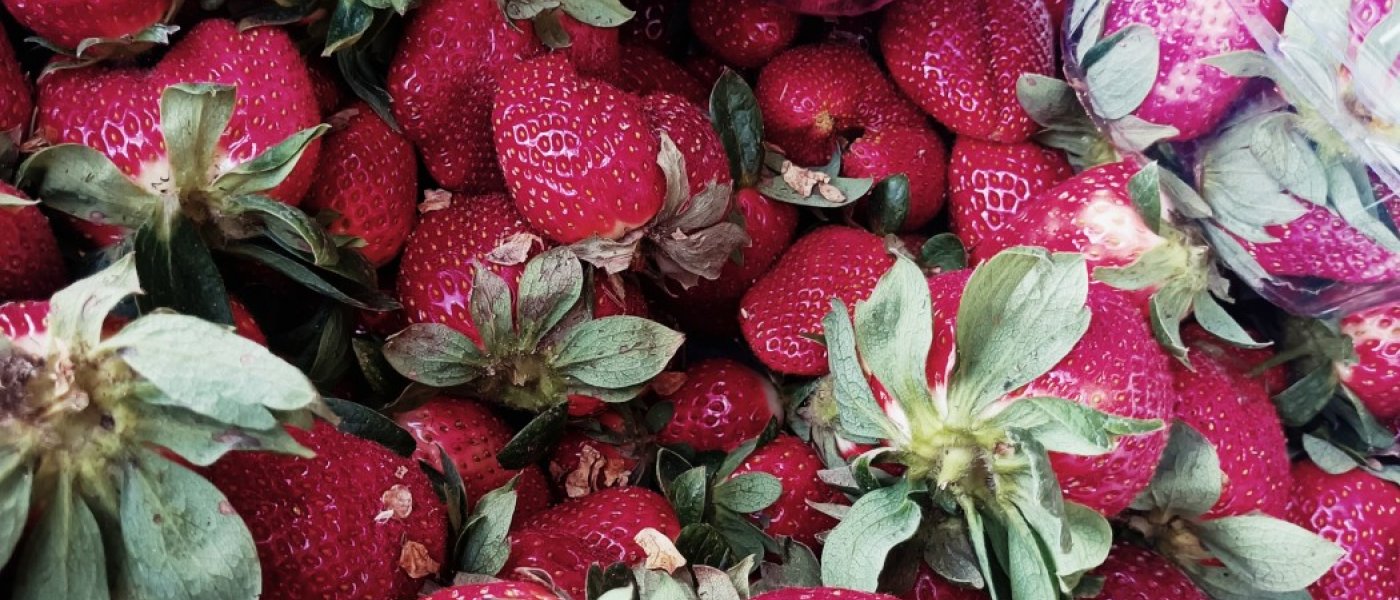 Strawberry 🍓🍓🍓🍓