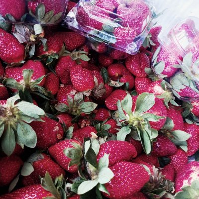Strawberry 🍓🍓🍓🍓